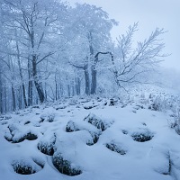 Kliknte pro zobrazen tto fotografie