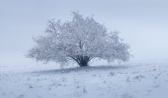Kliknte pro zobrazen tto fotografie