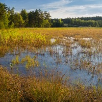 Kliknte pro zobrazen tto fotografie