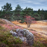 Kliknte pro zobrazen tto fotografie