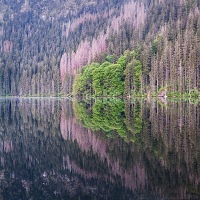 Kliknte pro zobrazen tto fotografie