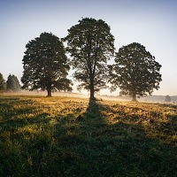 Kliknte pro zobrazen tto fotografie