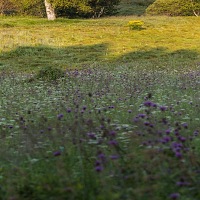 Kliknte pro zobrazen tto fotografie