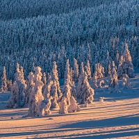 Kliknte pro zobrazen nhled v tto galerii