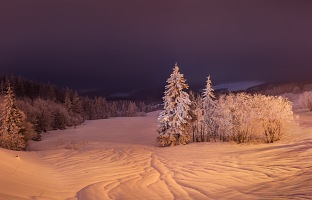 Kliknte pro zobrazen tto fotografie