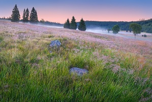 Kliknte pro zobrazen nhled v tto galerii