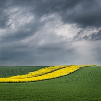 Kliknte pro zobrazen tto fotografie