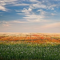 Kliknte pro zobrazen tto fotografie