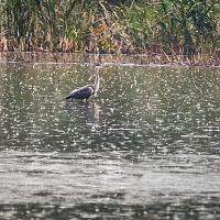 Kliknte pro zobrazen tto fotografie