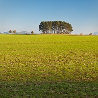 Kliknte pro zobrazen tto fotografie
