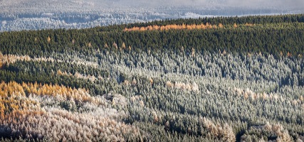 Kliknte pro zobrazen tto fotografie