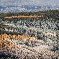 Kliknte pro zobrazen tto fotografie