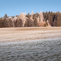 Kliknte pro zobrazen tto fotografie