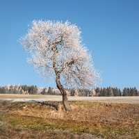 Kliknte pro zobrazen tto fotografie