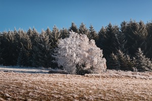 Kliknte pro zobrazen tto fotografie