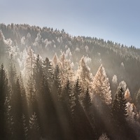 Kliknte pro zobrazen tto fotografie