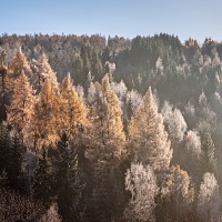 Kliknte pro zobrazen tto fotografie
