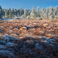 Kliknte pro zobrazen tto fotografie