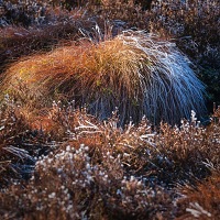 Kliknte pro zobrazen tto fotografie