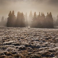 Kliknte pro zobrazen tto fotografie