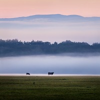 Kliknte pro zobrazen tto fotografie