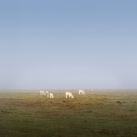 Kliknte pro zobrazen tto fotografie