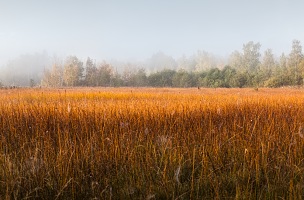 Kliknte pro zobrazen tto fotografie