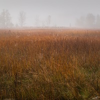 Kliknte pro zobrazen tto fotografie