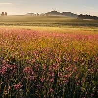 Kliknte pro zobrazen tto fotografie