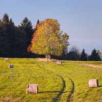 Kliknte pro zobrazen tto fotografie