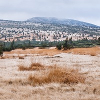 Kliknte pro zobrazen tto fotografie