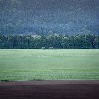 Kliknte pro zobrazen tto fotografie