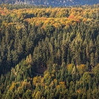 Kliknte pro zobrazen tto fotografie