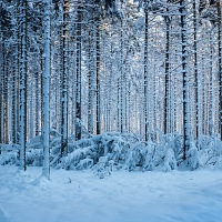 Kliknte pro zobrazen tto fotografie