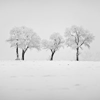 Kliknte pro zobrazen tto fotografie