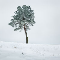 Kliknte pro zobrazen tto fotografie