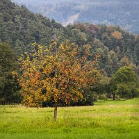 Kliknte pro zobrazen tto fotografie