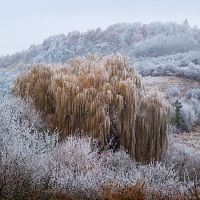 Kliknte pro zobrazen tto fotografie