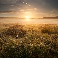 Kliknte pro zobrazen tto fotografie