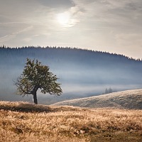 Kliknte pro zobrazen tto fotografie