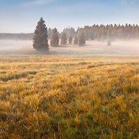 Kliknte pro zobrazen tto fotografie