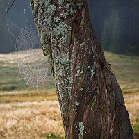 Kliknte pro zobrazen tto fotografie