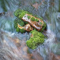 Kliknte pro zobrazen tto fotografie