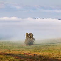 Kliknte pro zobrazen tto fotografie
