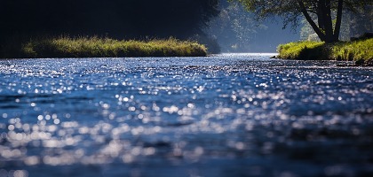 Kliknte pro zobrazen tto fotografie
