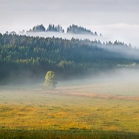 Kliknte pro zobrazen tto fotografie
