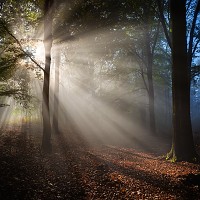 Kliknte pro zobrazen tto fotografie