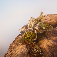 Kliknte pro zobrazen tto fotografie