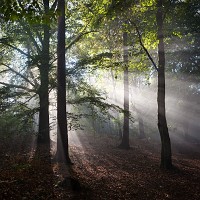 Kliknte pro zobrazen tto fotografie