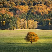 Kliknte pro zobrazen tto fotografie